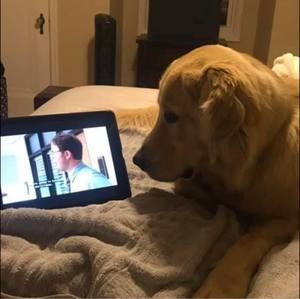 Meet your Posher, Molly